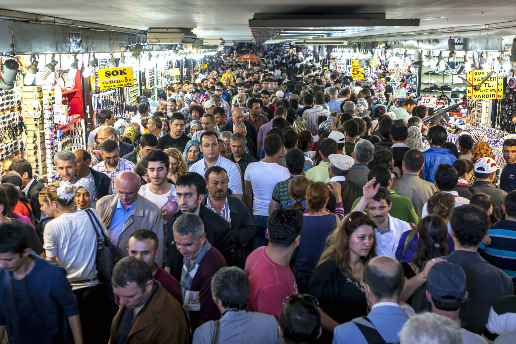 Overpopulation